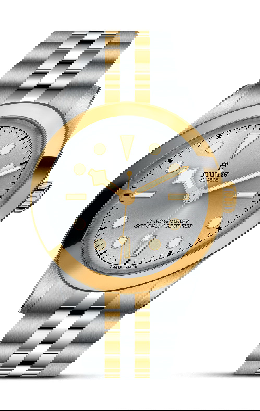 TUDOR Black Bay 39 S&G luxury timepiece - detailed view