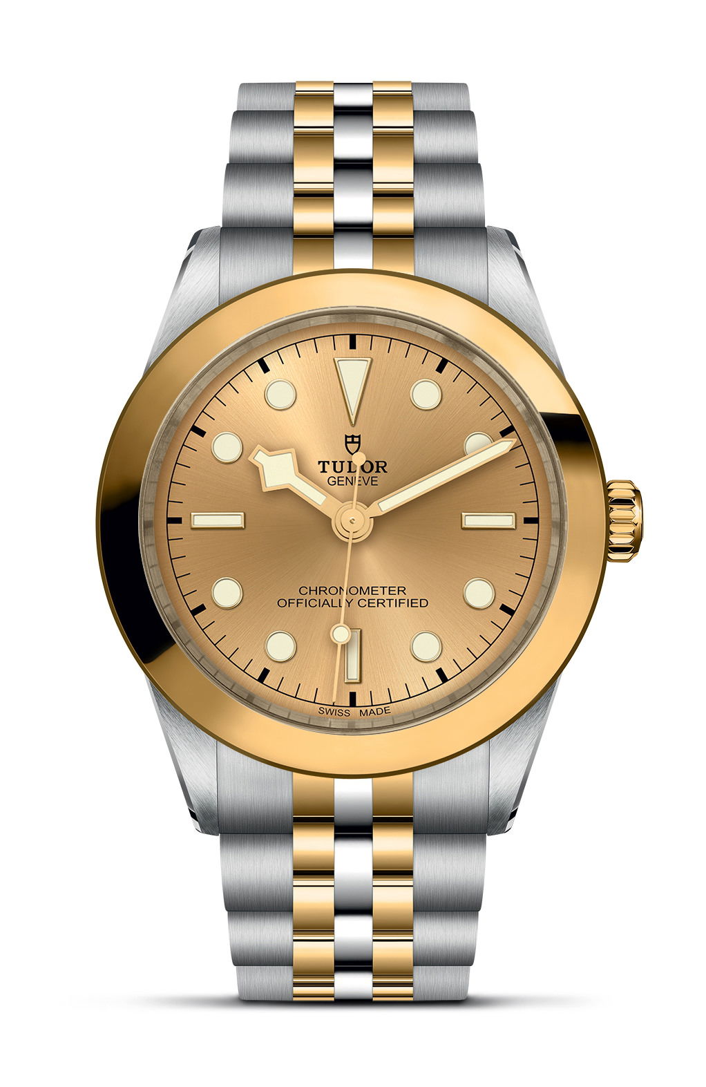 TUDOR Black Bay 39 S&G luxury timepiece - detailed view