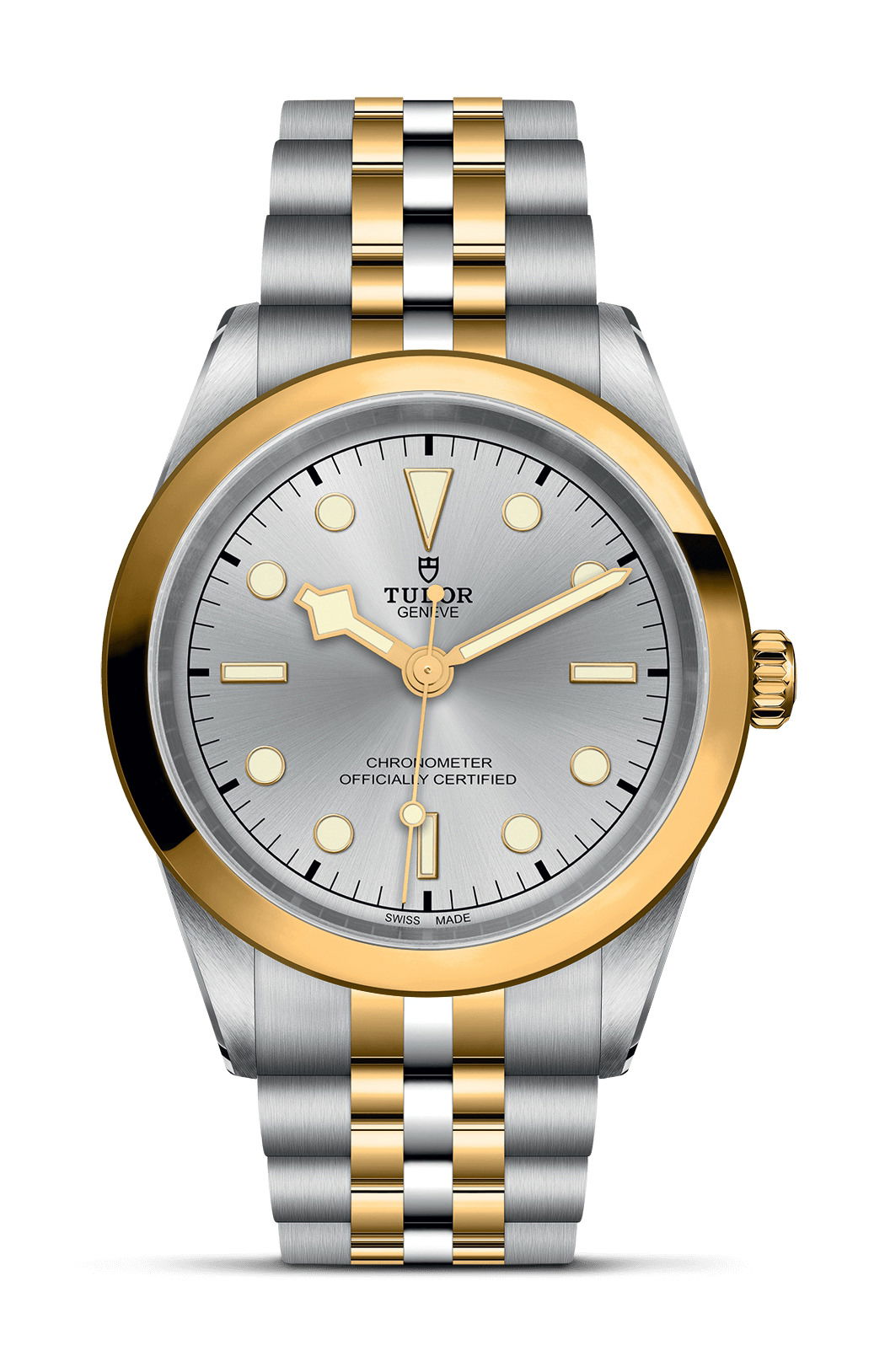 TUDOR Black Bay 41 S&G luxury timepiece - detailed view