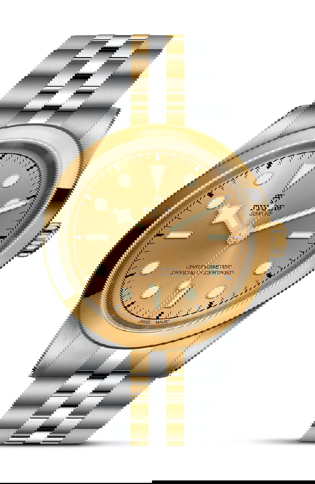 TUDOR Black Bay 41 S&G luxury timepiece - detailed view