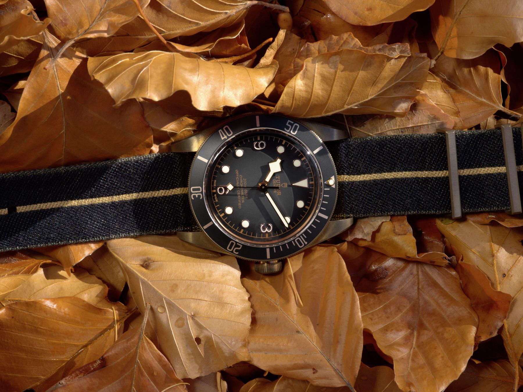 TUDOR Black Bay Bronze - View 2