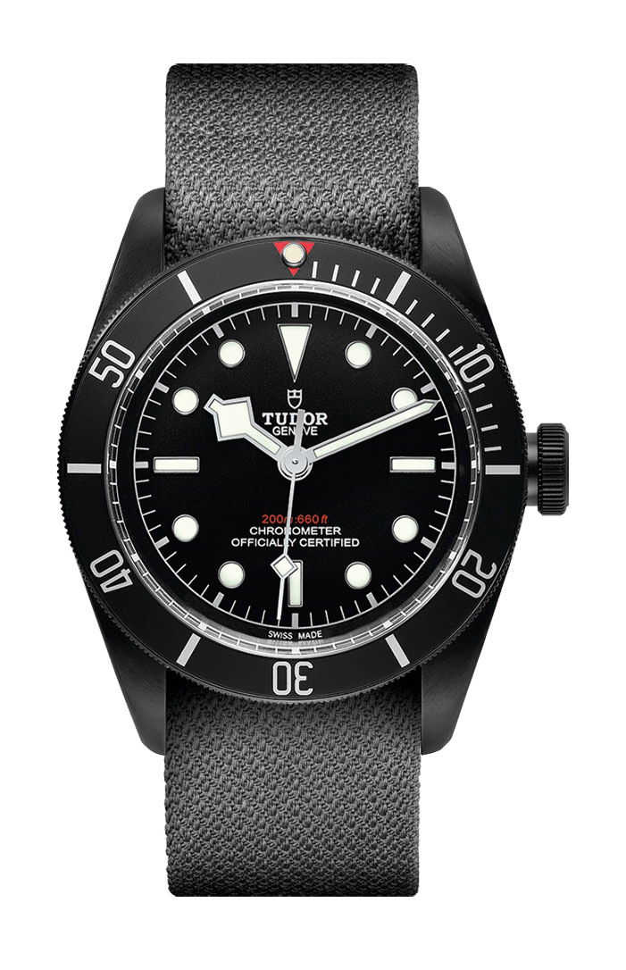 TUDOR Black  Bay Dark luxury timepiece - detailed view