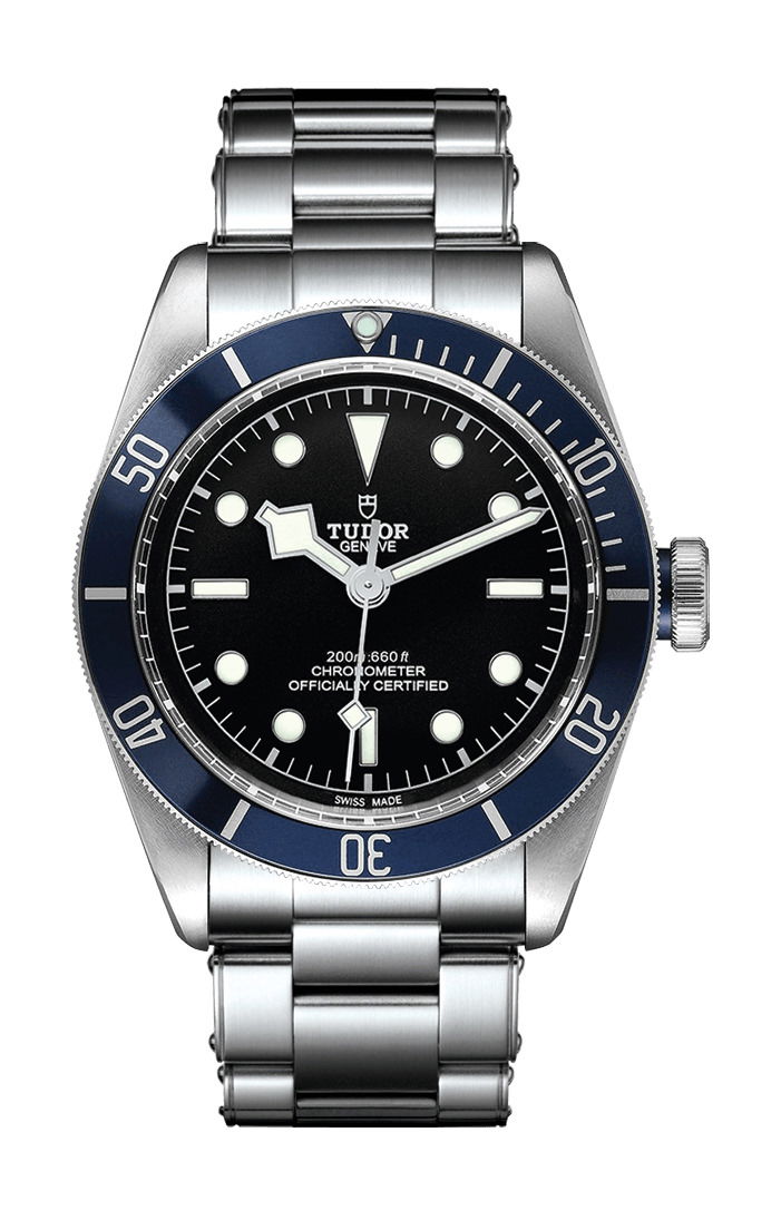 TUDOR Black Bay luxury timepiece - detailed view