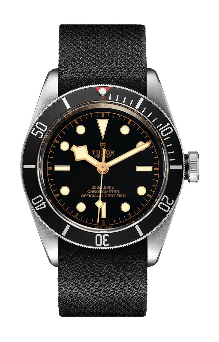 TUDOR Black Bay luxury timepiece - detailed view