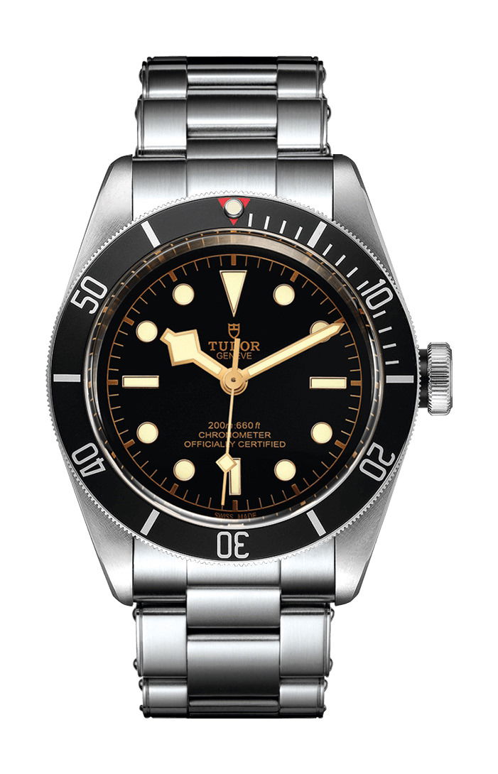 TUDOR Black Bay luxury timepiece - detailed view