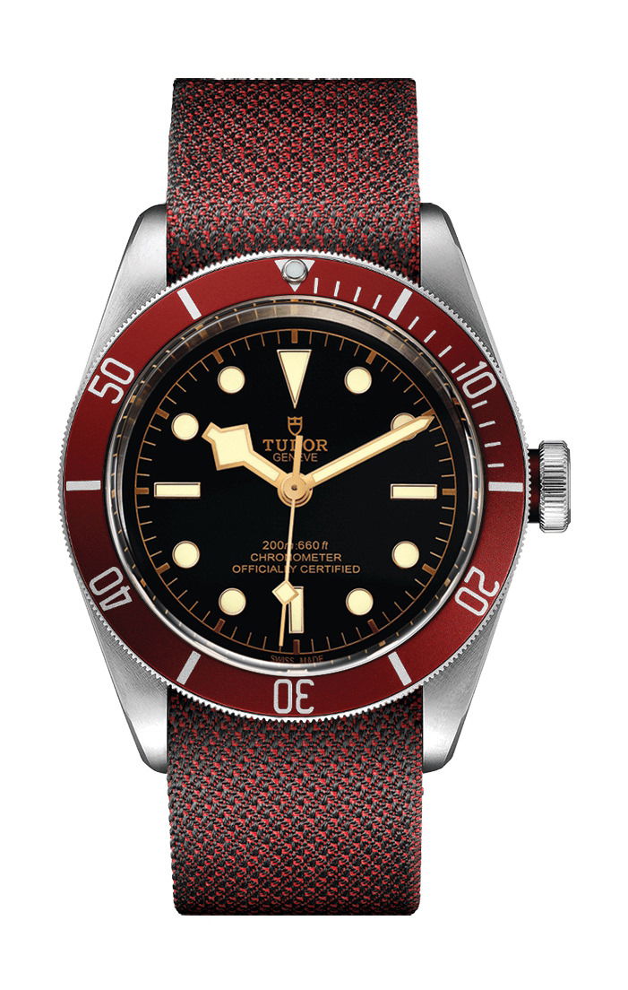 TUDOR Black Bay luxury timepiece - detailed view