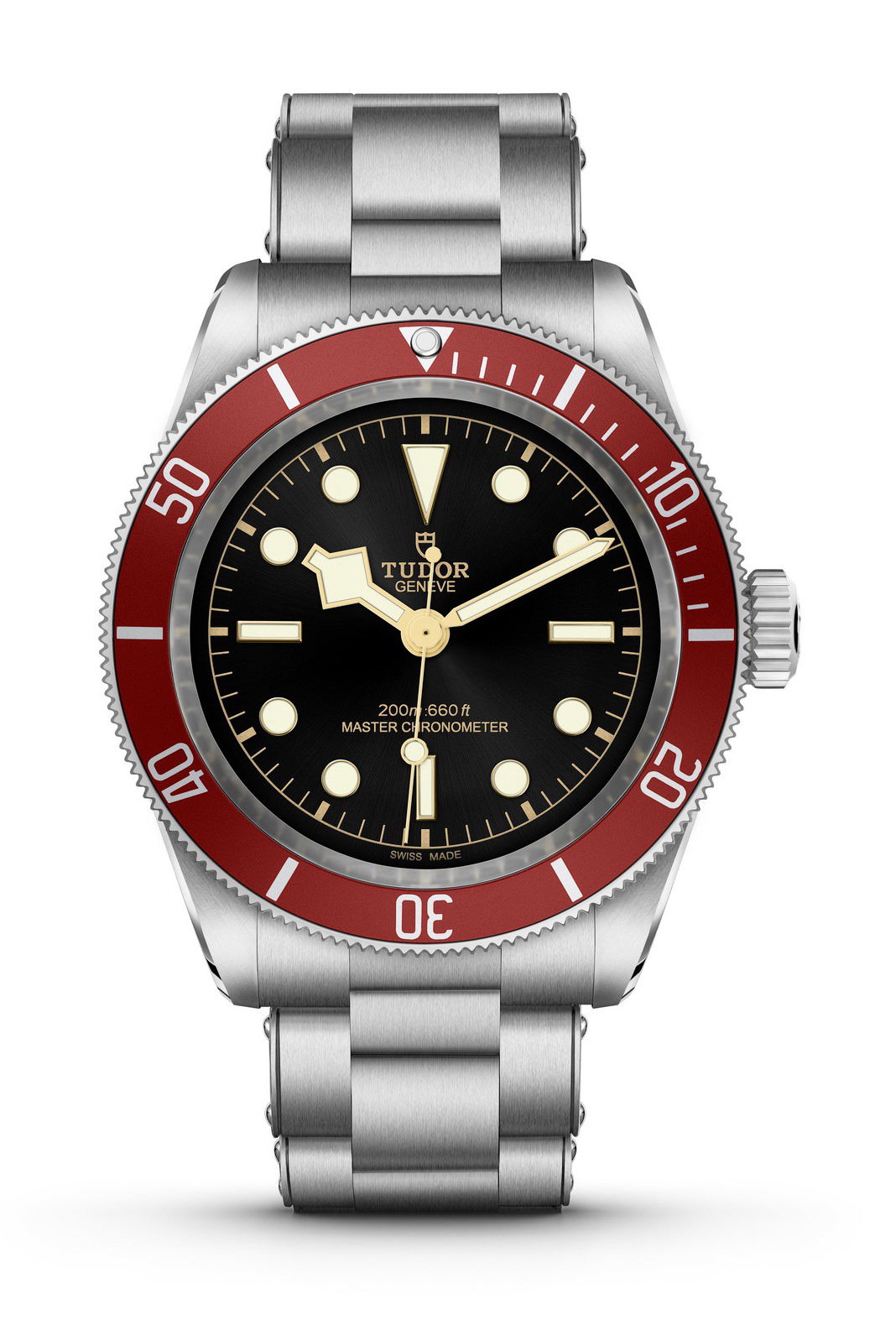 TUDOR Black Bay luxury timepiece - detailed view