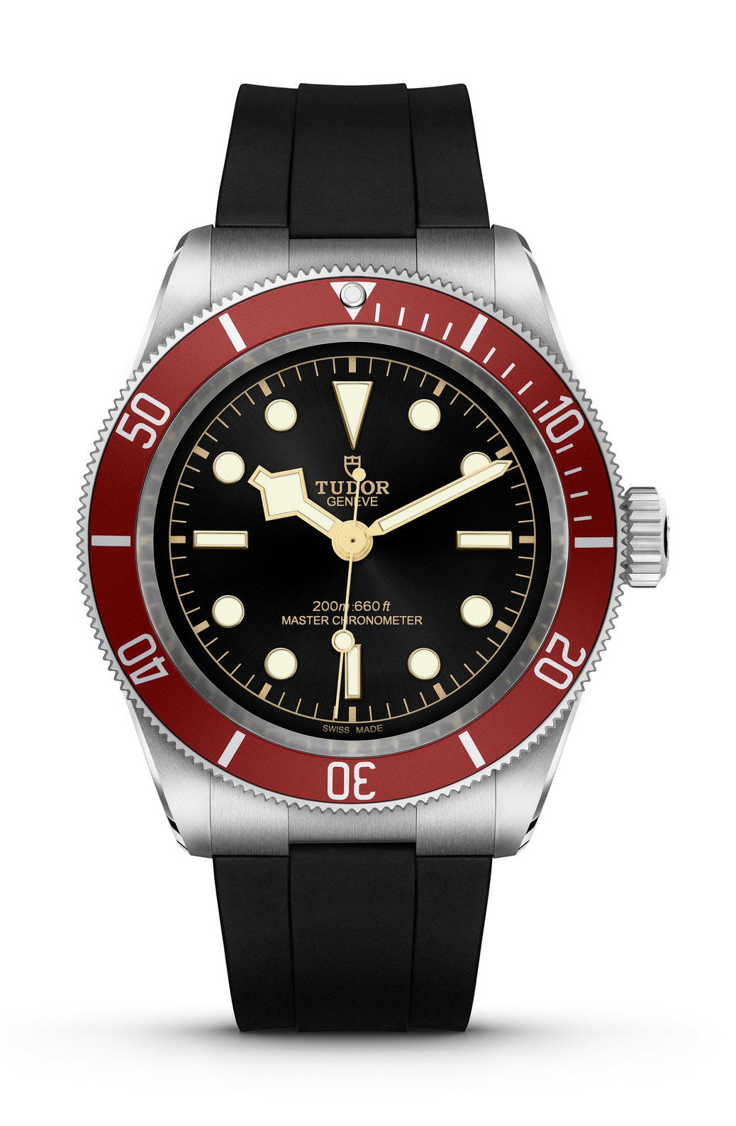 TUDOR Black Bay luxury timepiece - detailed view