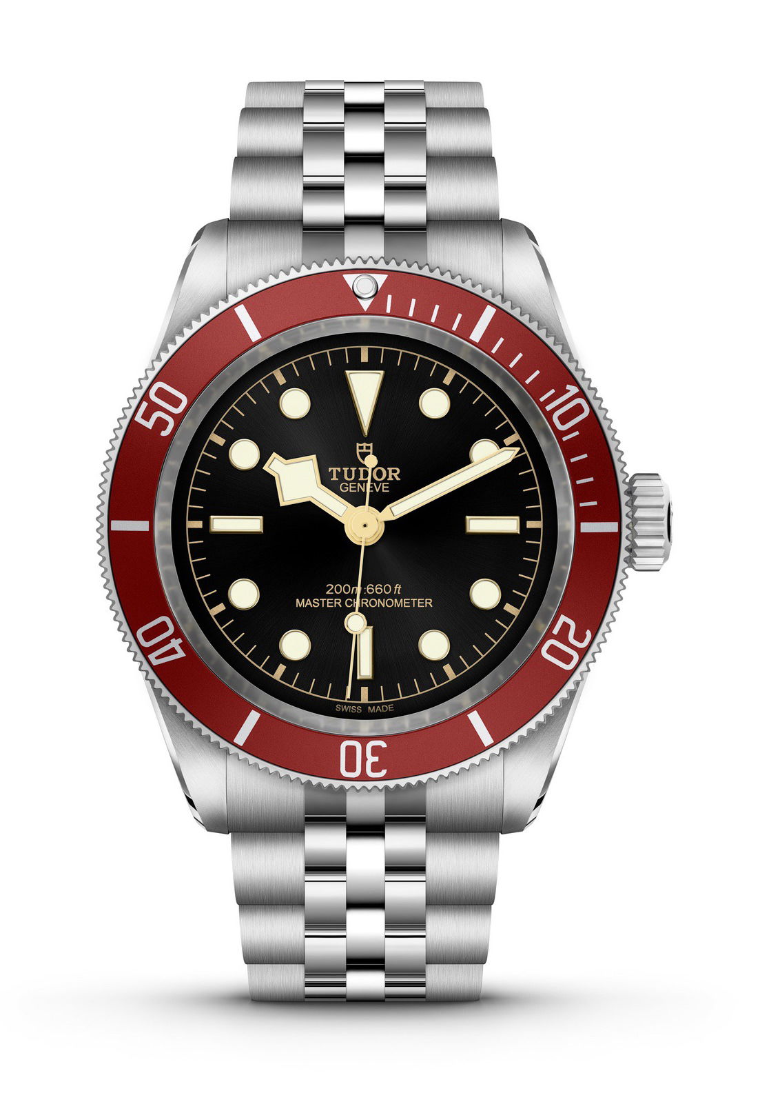 TUDOR Black Bay luxury timepiece - detailed view