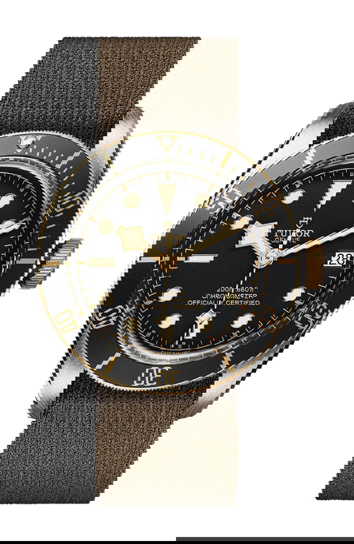 TUDOR Black Bay S&G luxury timepiece - detailed view