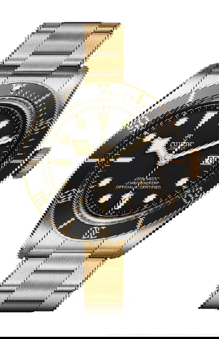 TUDOR Black Bay S&G luxury timepiece - detailed view