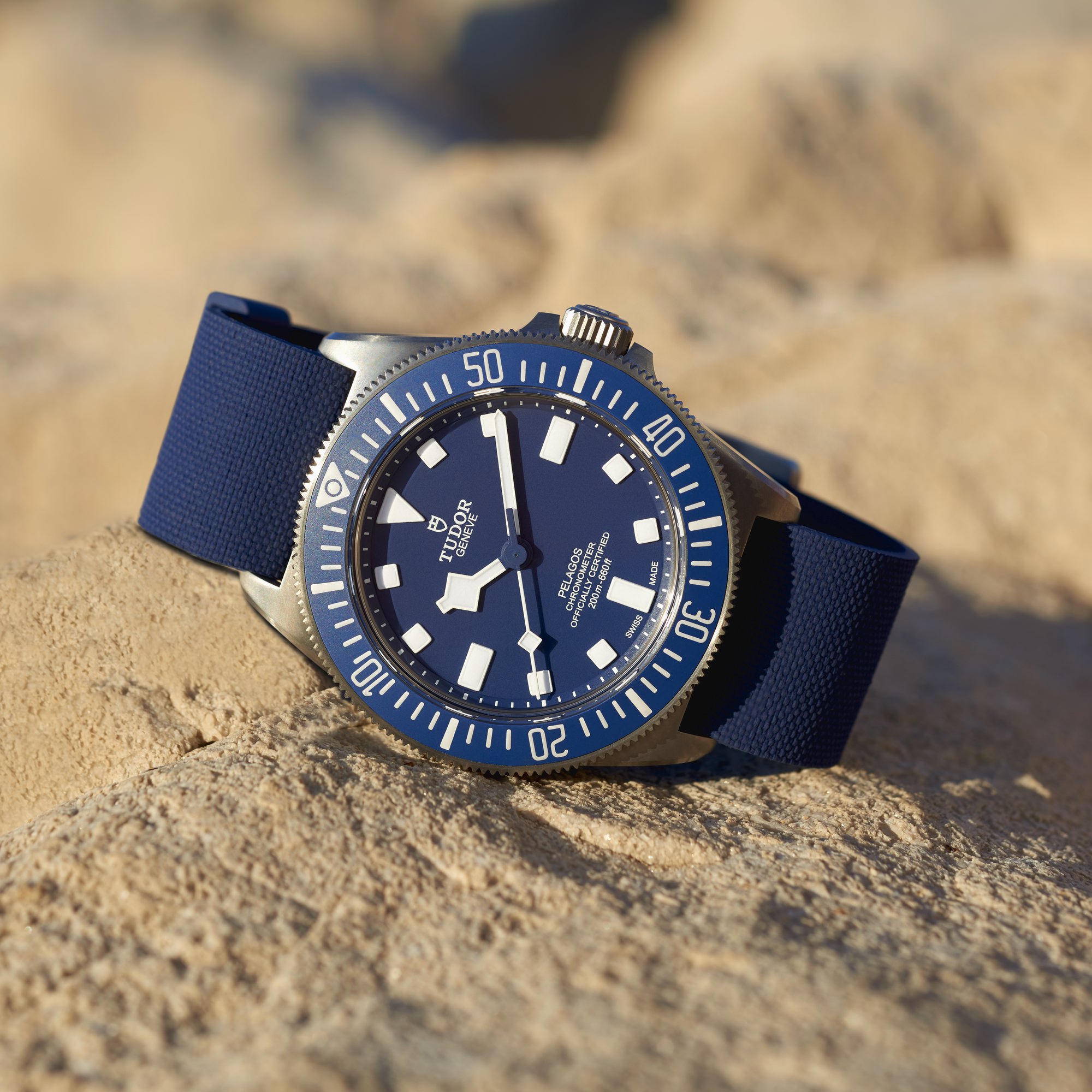 TUDOR Pelagos FXD - View 2