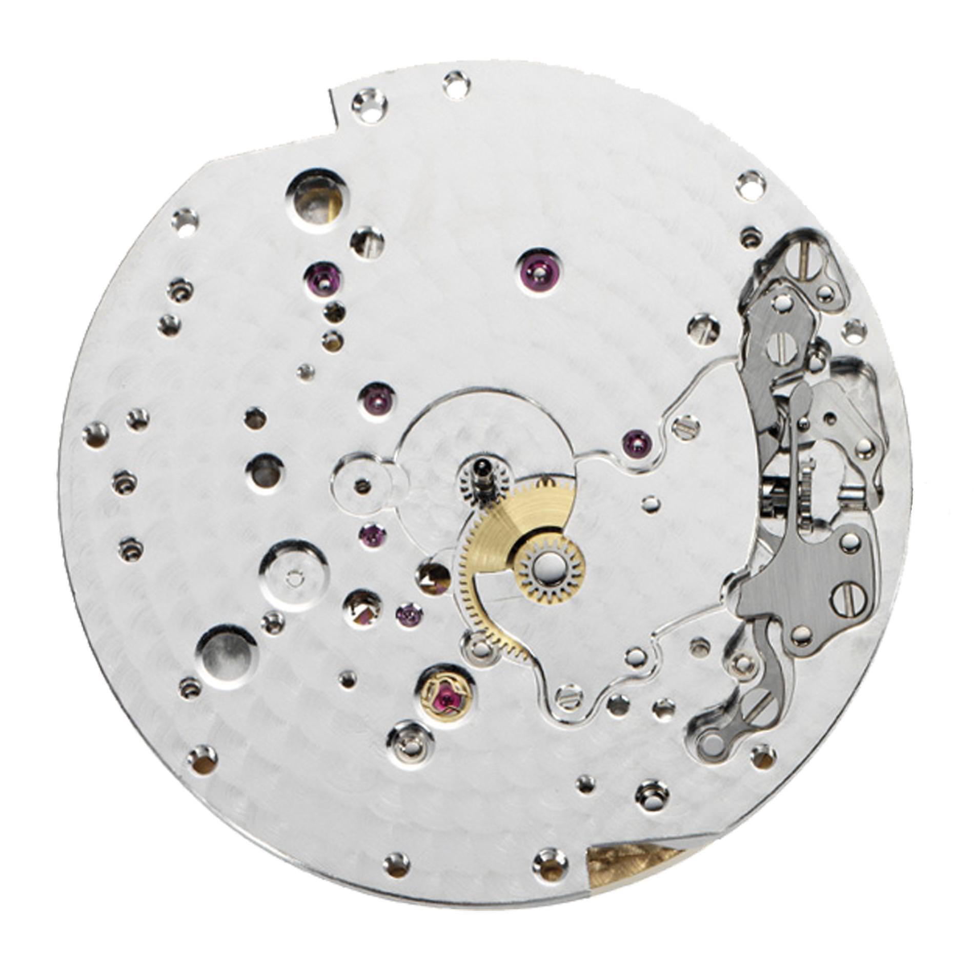 Vacheron Constantin “Les Royaumes Aquatiques®” Les Cabinotiers Grisaille – Turtle - View 3